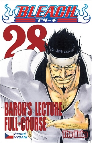 Kniha Bleach 28