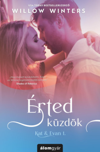 Kniha Kat & Evan 1: Érted küzdök - Willow Winters