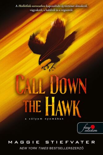 Álmodok-trilógia 1: Call Down the Hawk: A sólyom Nyomában - Maggie Stiefvater,Boldizsár Nagy