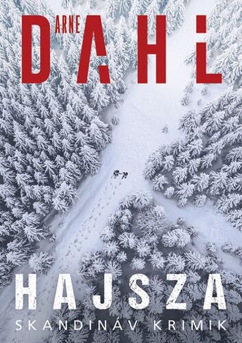 Kniha Hajsza - Arne Dahl,Ádám Szieberth