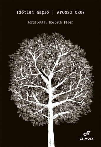 Kniha Időtlen napló - Afonso Cruz