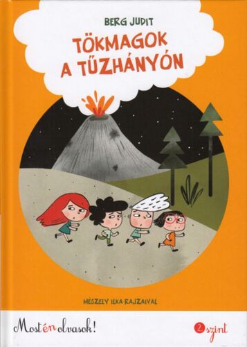 Kniha Tökmagok a tűzhányón - Judit Berg