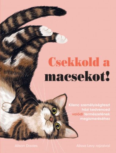 Kniha Csekkold a macsekot! - Alison Davies