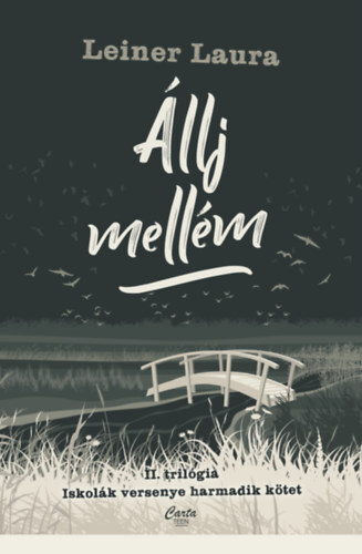 Kniha Állj mellém - II. trilógia - Iskolák versenye harmadik kötet - Laura Leiner