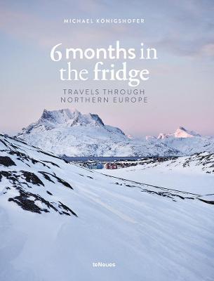 Kniha 6 Months In The Fridge