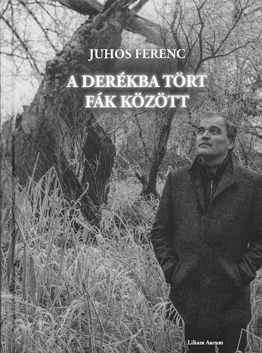 A derékba tört fák között