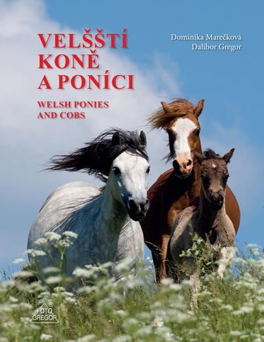 Kniha Velšští koně a poníci / Welsh Ponies and Cobs