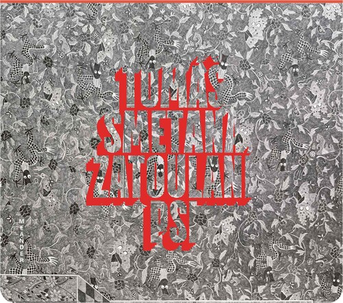 Kniha Zatoulaní psi - Tomáš Smetana