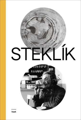 Kniha Steklík