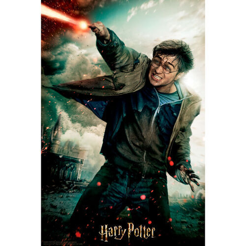 3D puzzle Harry Potter 300 dielikov