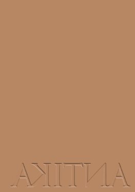 Kniha Antika - Petra Feriancová