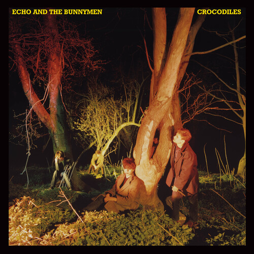 Kniha Echo & The Bunnymen - Crocodyles LP