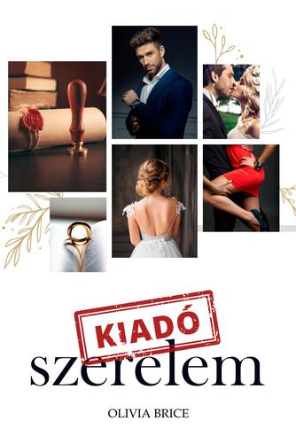 Kniha Kiadó szerelem - Olivia Brice