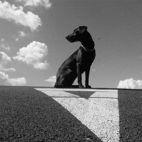 Kniha Le Payaco - Pohybliví v nehybnom CD