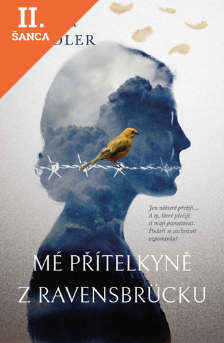 Lacná kniha Mé přítelkyně z Ravensbrücku