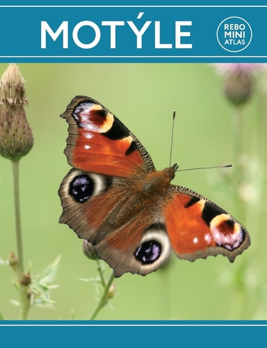 Kniha Motýle miniatlas