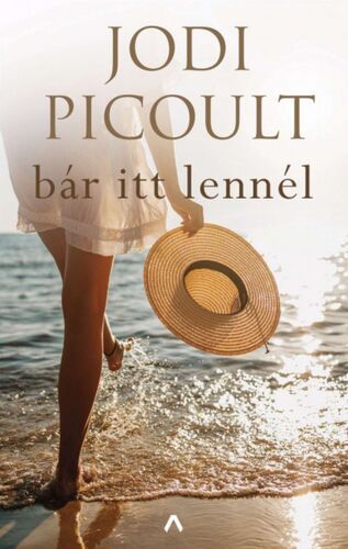 Kniha Bár itt lennél - Jodi Picoult