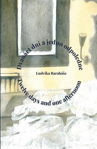 Kniha Dvanáct dní a jedno odpoledne / Twelve days and one afternoon - Ludvík Barabáš