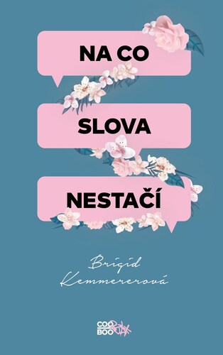 Na co slova nestačí, 2. vydání - Brigid Kemmerer,Helena Šváchová