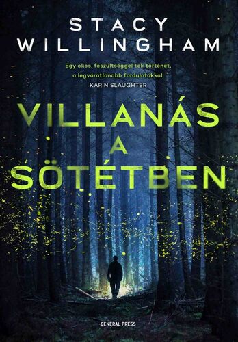 Villanás a sötétben - Stacy Willingham,Judit Szigeti