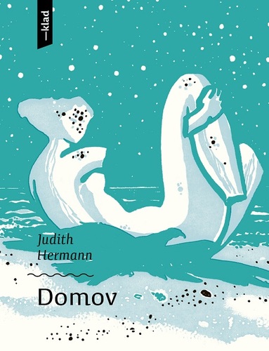 Kniha Domov - Judith Hermann