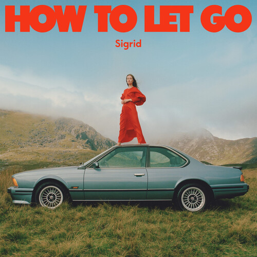 Kniha Sigrid - How To Let Go LP