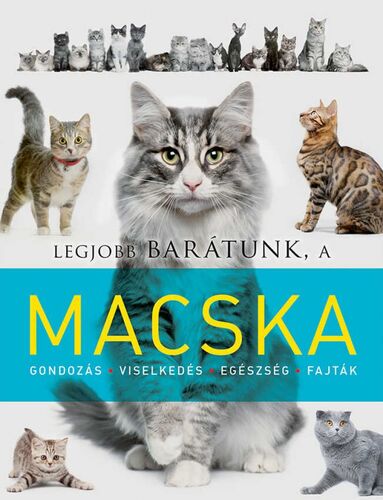 Kniha Legjobb barátunk a macska - Kolektív autorov,Márta Mayer