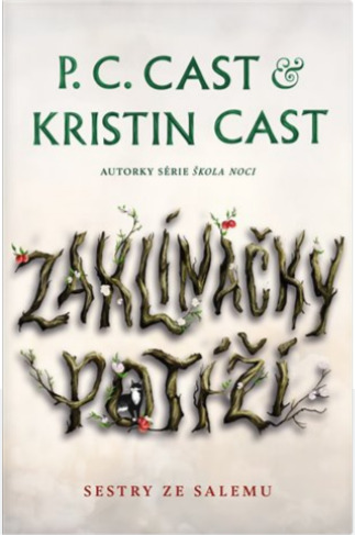 Kniha Zaklínačky problémů