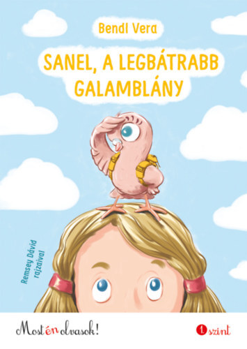 Sanel, a legbátrabb galamblány - Vera Bendl