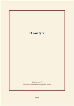 Kniha O analýze - Tomas Holecek