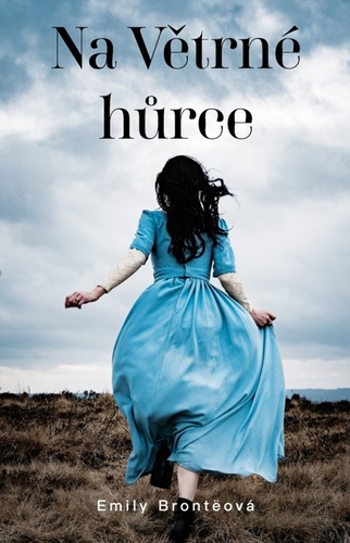 Kniha Na větrné hůrce
