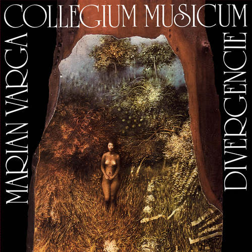 Kniha Collegium Musicum - Divergencie 2LP