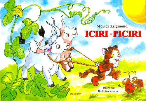 Iciri-piciri
