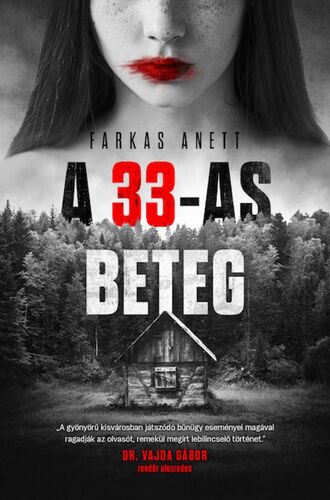 Kniha A 33-as beteg - Anett Farkas