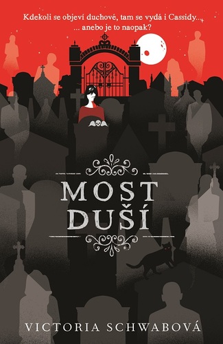 Kniha Most duší - Victoria Schwabová
