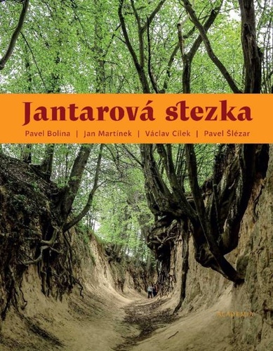 Kniha Jantarová stezka