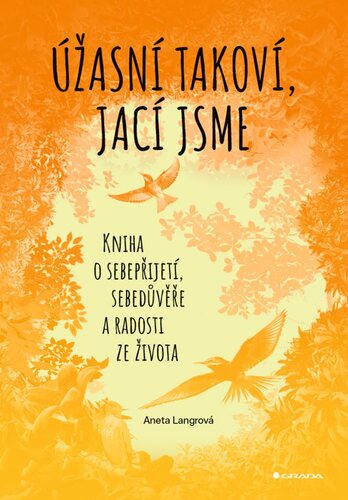 Kniha Úžasní takoví, jací jsme