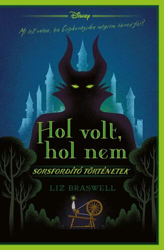Kniha Sorsfordító történetek. Hol volt, hol nem - Liz Braswell