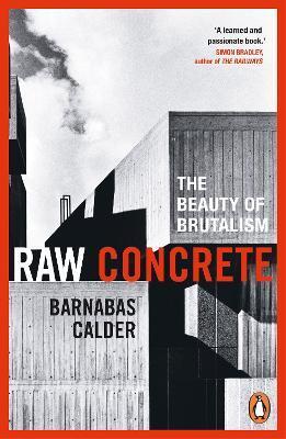Kniha Raw Concrete