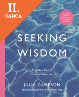 Lacná kniha Seeking Wisdom