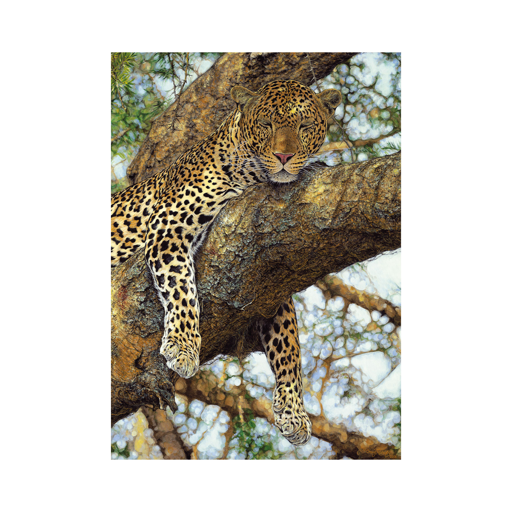 Puzzle Leopard škvrnitý 1000 Dino