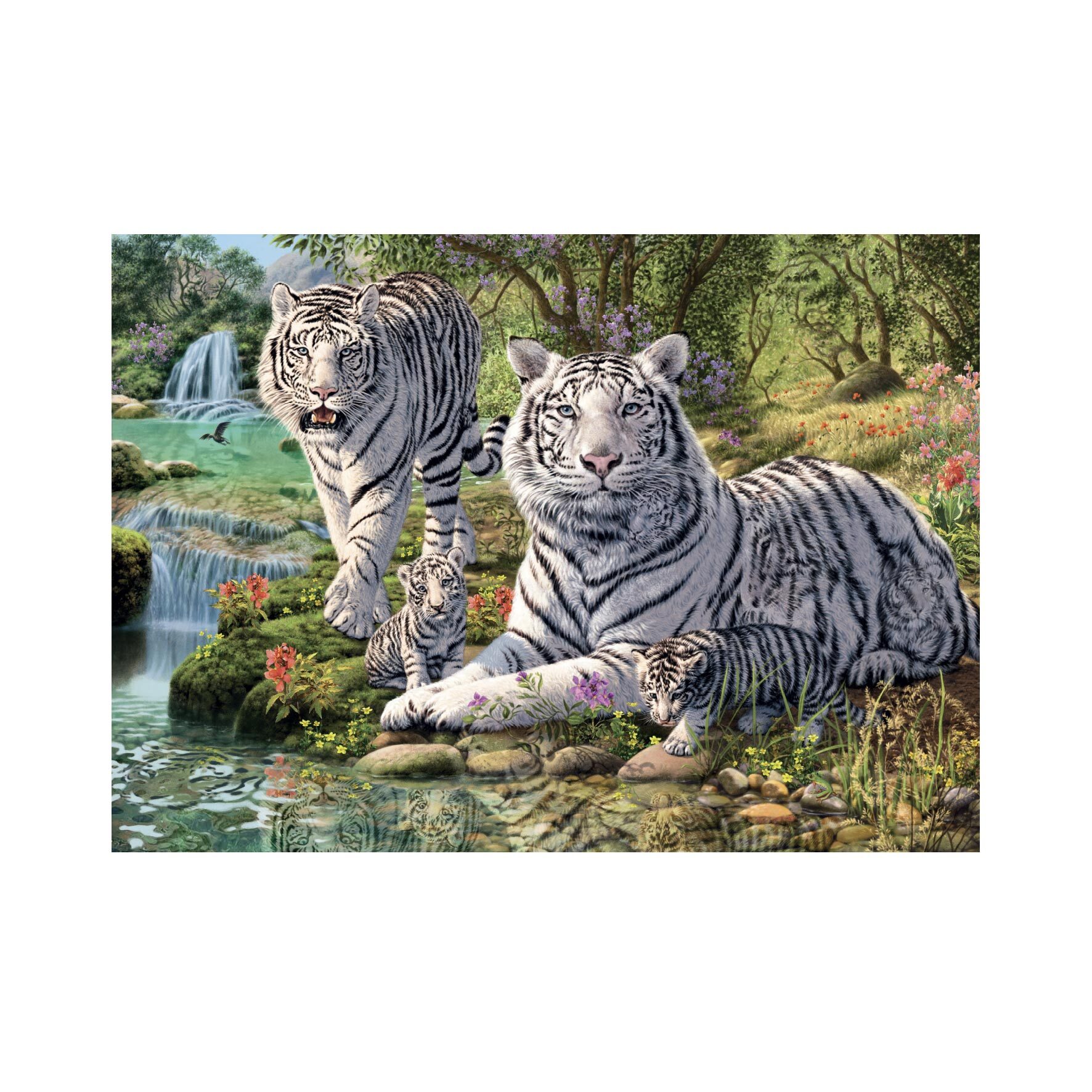 Puzzle Biele tigre 1000ks