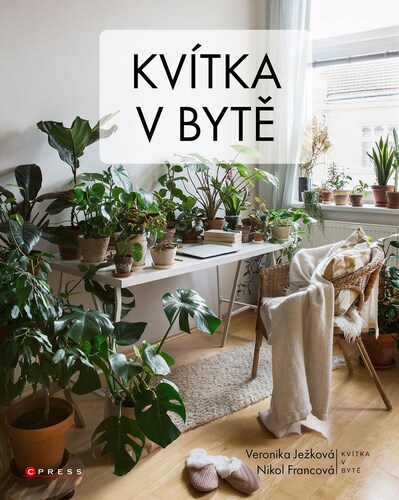 Kniha Kvítka v bytě