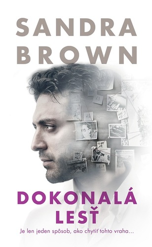 Dokonalá lesť