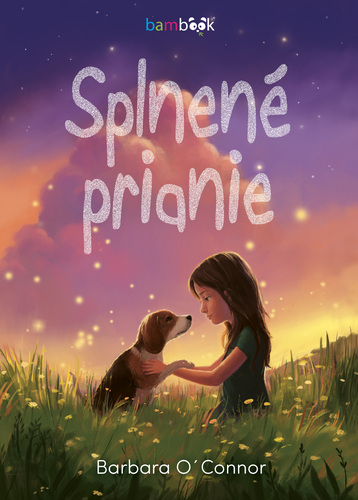 Kniha Splnené prianie