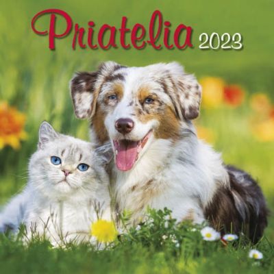 Nástenný kalendár Priatelia 2023