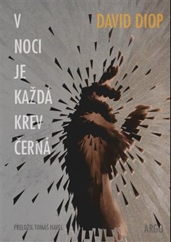Kniha V noci je každá krev černá