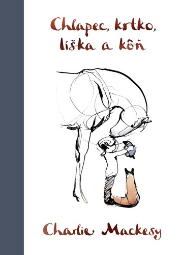 Kniha Chlapec, krtko, líška a kôň - Charlie Mackesy