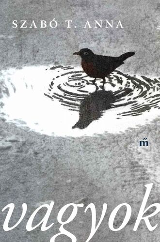 Kniha Vagyok - Anna T. Szabó