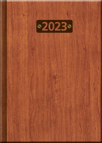 Praktik denný diár WOOD 2023